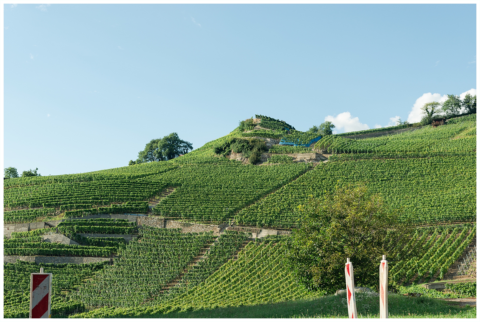 Travel Series Switzerland Ollon Vineyards