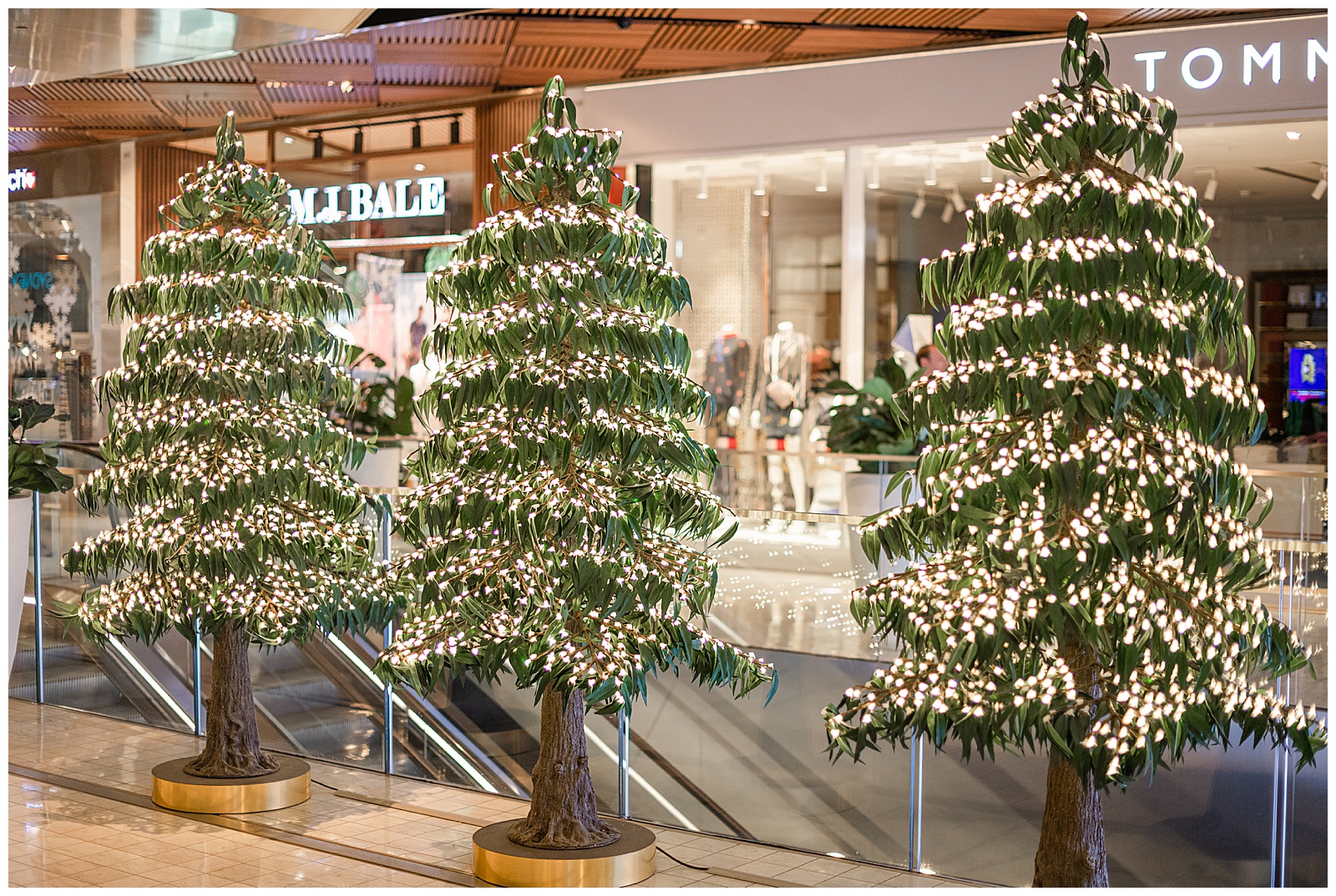 Christmas-trees-Sydney-Westfield