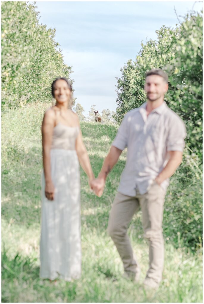 Engagement session Blue Mountains Photo bomber deer