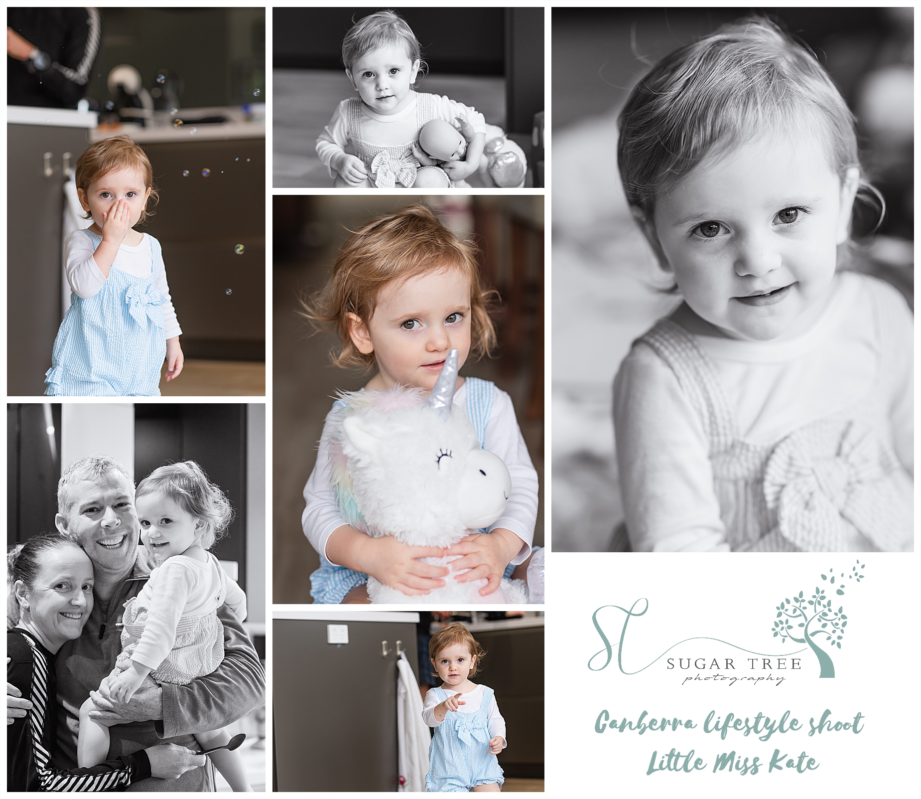 Lifestyle blog post title image - Toddler lifestyle session