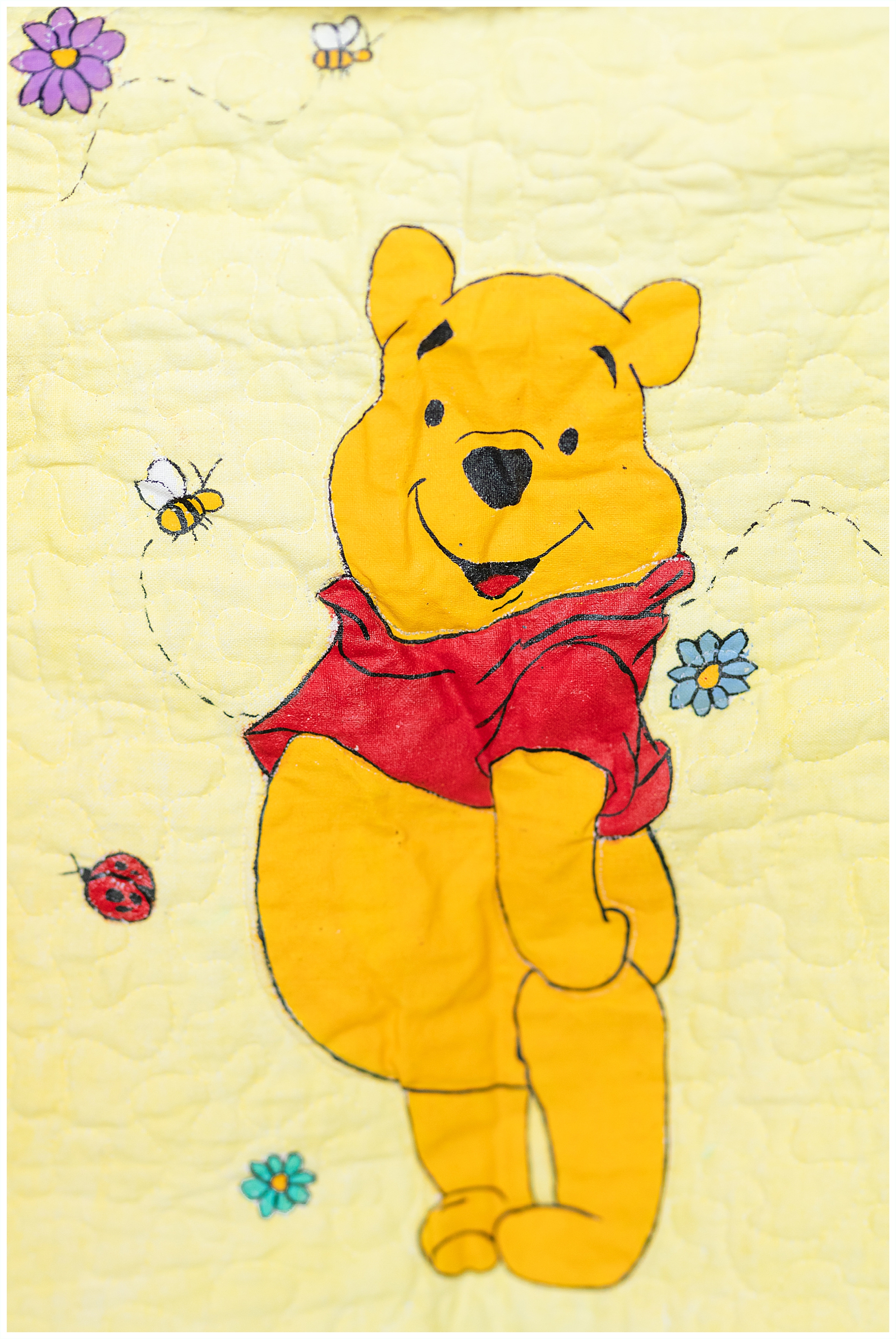 Winnie the Pooh painted quilt