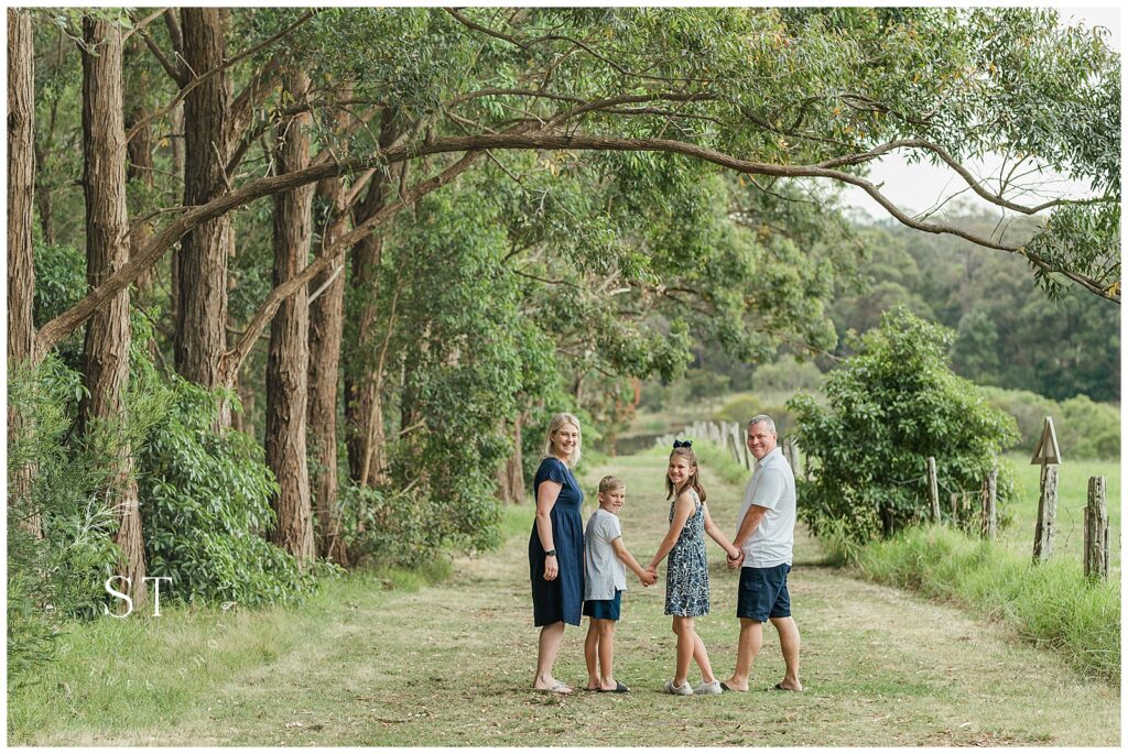 Family Photo session at Fagan Park. Family of 4, tree lined alleyway, family glancing back over their shoulders