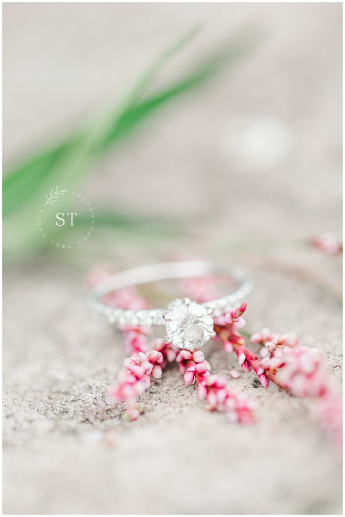 Engagement Shoot - ring detail shot. Engagement ring on pink blooms
