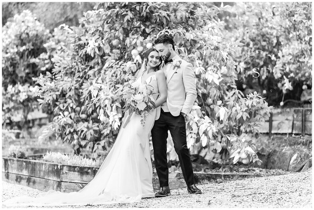 Blue Mountains Wedding Enniskillen Orchard