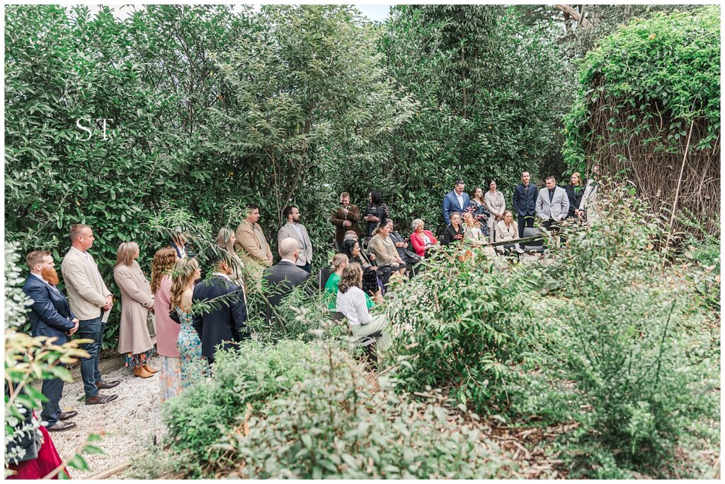 Blue Mountains Wedding Enniskillen Orchard